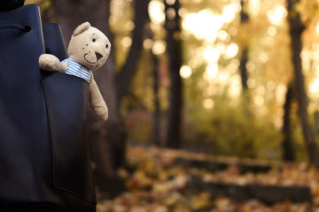 Adorable teddy bear peeking from a backpack in a serene autumn forest setting.